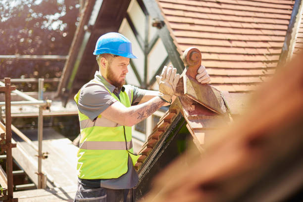 Best Sealant for Roof  in Osseo, WI